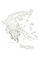 Organic Basil Herb, Vordonia Greece Organic Basil Herb, Vordonia Greece